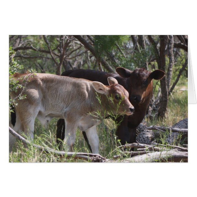 Two New Babies at the Farm (Front Horizontal)
