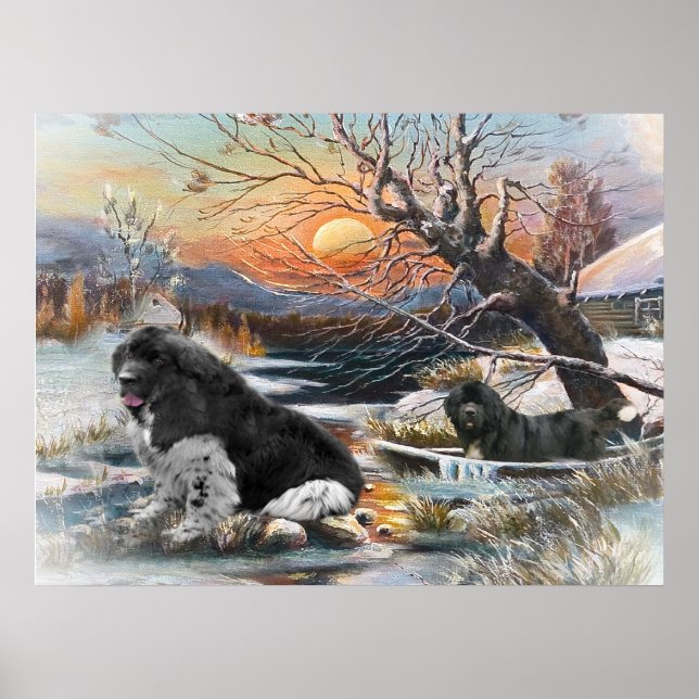 Two Newfies winter scene Poster (Front)