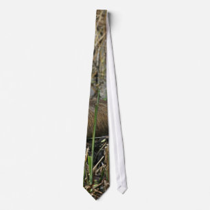 Two nutria tie