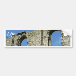Two Old Windows Of Cathedral Of St Andrew Bumper Sticker