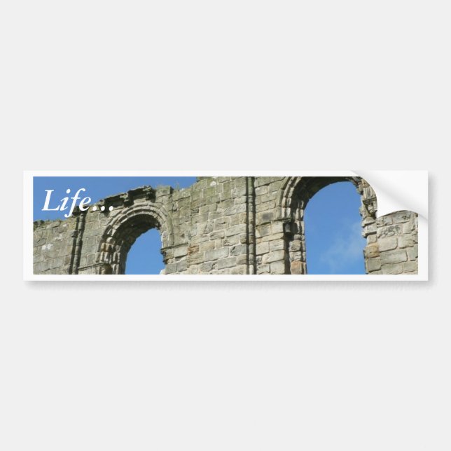Two Old Windows Of Cathedral Of St Andrew Bumper Sticker (Front)
