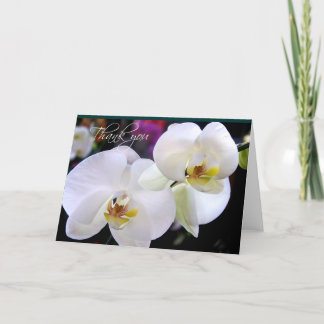 Two Orchid thank you note cards