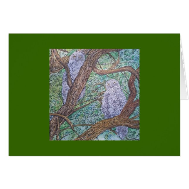 two owls (Front Horizontal)