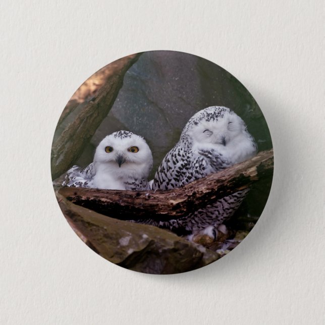 Two Owls 6 Cm Round Badge (Front)