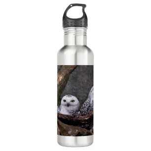 Two Owls 710 Ml Water Bottle