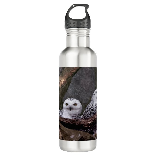 Two Owls 710 Ml Water Bottle (Front)