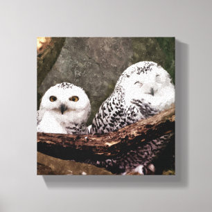 Two Owls Canvas Print