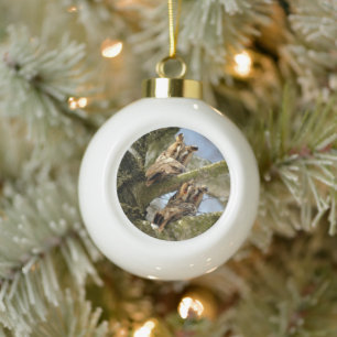 Two Owls in the Woods, birds, wildlife Ceramic Bal Ball Christmas Ornament
