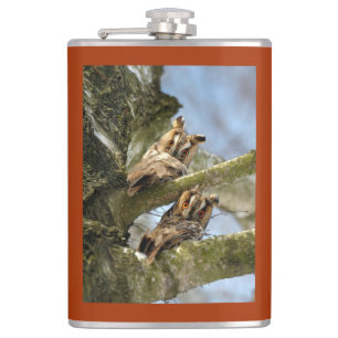 Two Owls in the Woods, birds, wildlife Flask