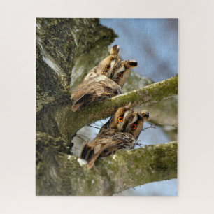 Two Owls in the Woods, birds, wildlife Jigsaw Puzz Puzzle