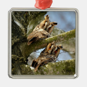 Two Owls in the Woods, birds, wildlife Metal Ornam Tree Decoration