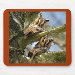 Two Owls in the Woods, birds, wildlife Mouse Pad