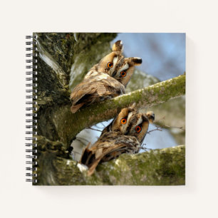 Two Owls in the Woods, birds, wildlife Notebook