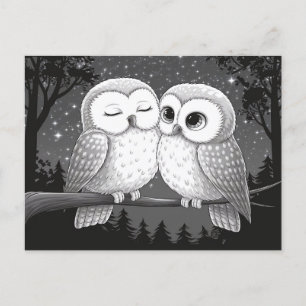 Two Owls Postcard