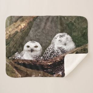 Two Owls Sherpa Blanket