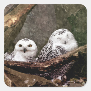 Two Owls Square Sticker