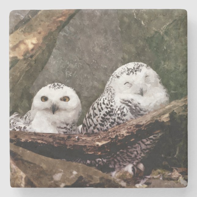 Two Owls Stone Coaster (Front)