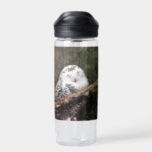 Two Owls Water Bottle