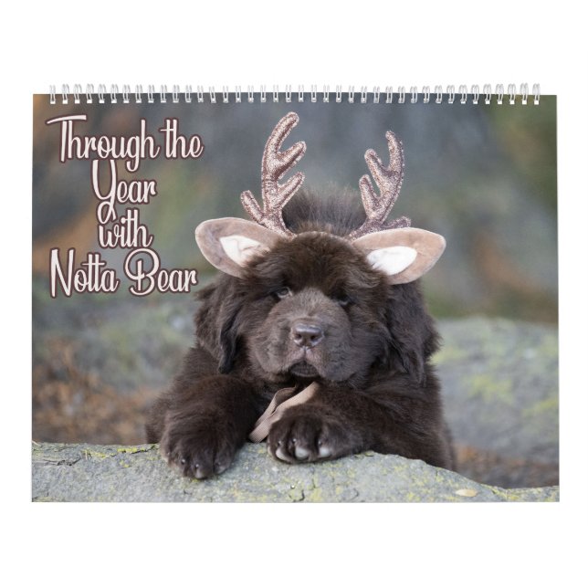 Two Page LargeCalendar Notta Bear Through The Year Calendar (Cover)