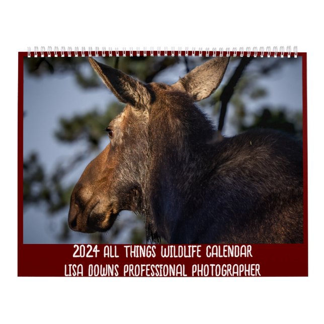 Two Page LargeCalendar, White Calendar (Cover)