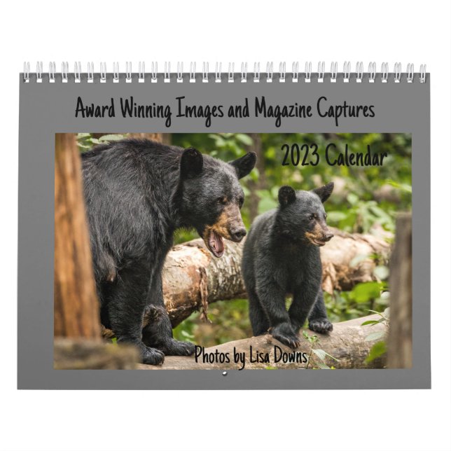 Two Page LargeCalendar, White Calendar (Cover)