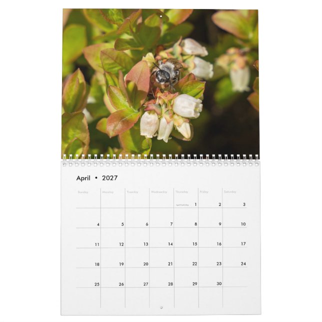 Two Page Medium Calendar, White Calendar (Apr 2027)