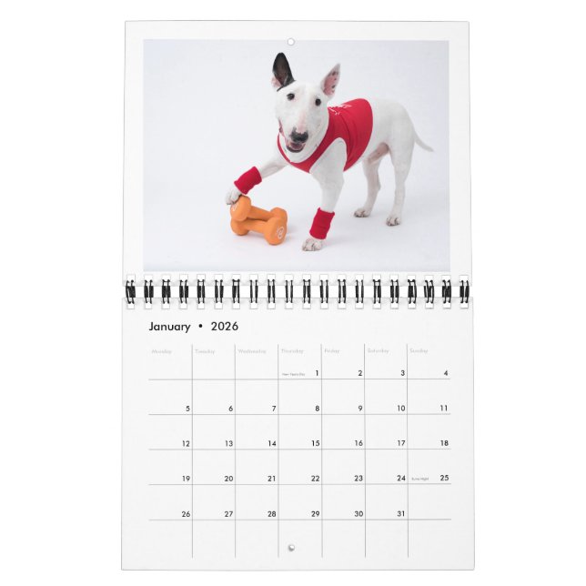 Two Page MediumCalendar, White Calendar (Jan 2026)