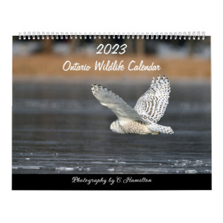 Two Page MediumCalendar, White Calendar