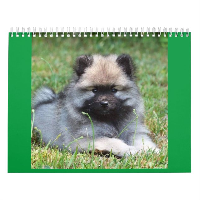 Two Page MediumCalendar, White Calendar (Cover)