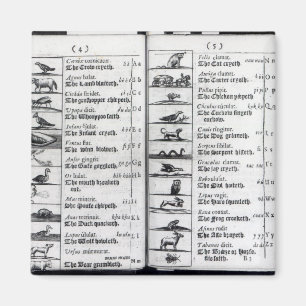 Two pages from 'Orbis Sensualium Pictus' Magnet