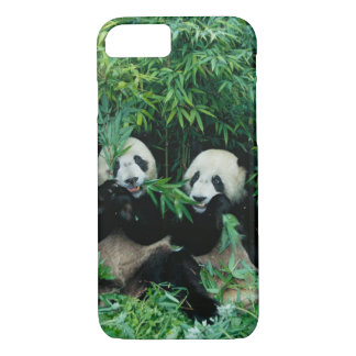 Two pandas eating bamboo together, Wolong iPhone 8/7 Case
