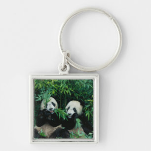 Two pandas eating bamboo together, Wolong Key Ring