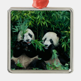 Two pandas eating bamboo together, Wolong Metal Tree Decoration