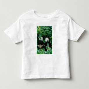Two pandas eating bamboo together, Wolong Toddler T-Shirt