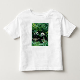 Two pandas eating bamboo together, Wolong Toddler T-Shirt