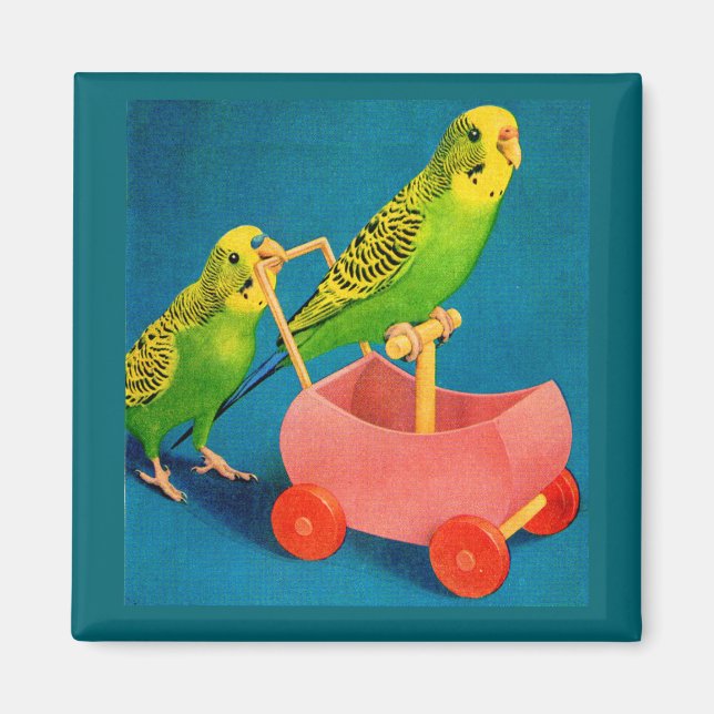 two parakeets magnet (Front)