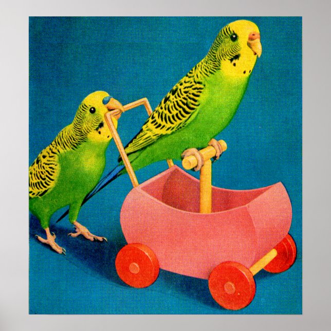 two parakeets poster (Front)