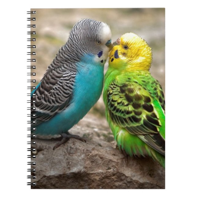 Two Parakeets Spiral Notebook (Front)