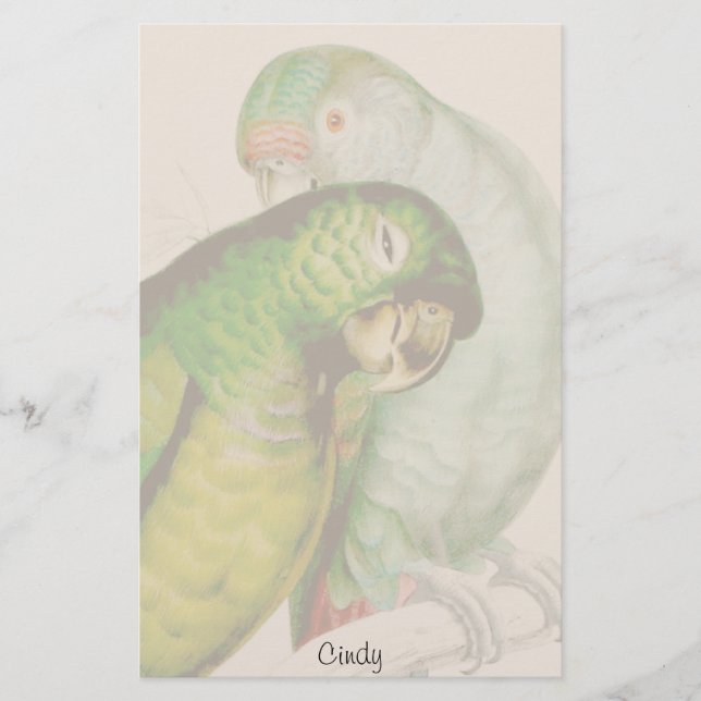 Two Parrot Birds Wildlife Animal Stationery (Front)