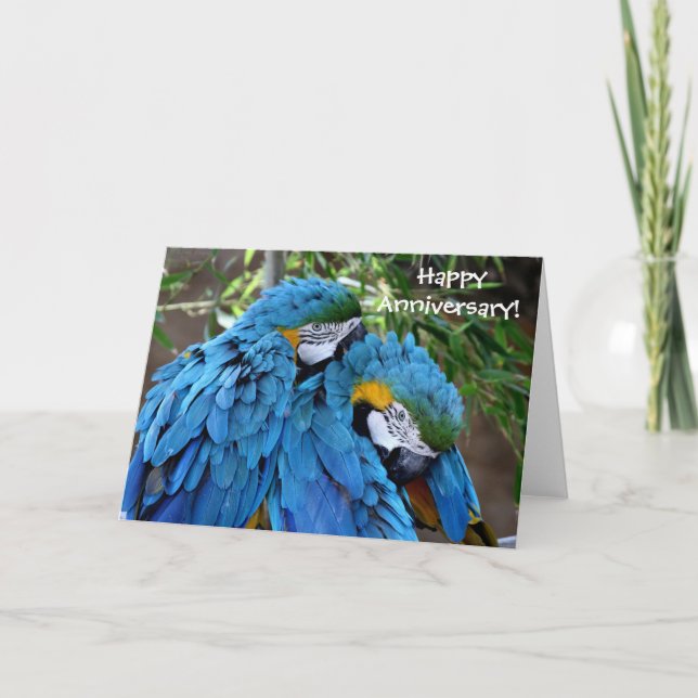 Two Parrots Happy Anniversary Greeting Card (Front)