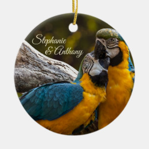 Two Parrots Tropical Birds  Ceramic Tree Decoration