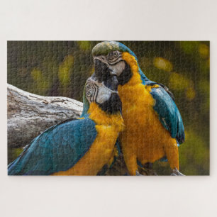 Two Parrots Tropical Birds Jigsaw Puzzle