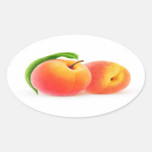 Two peaches oval sticker