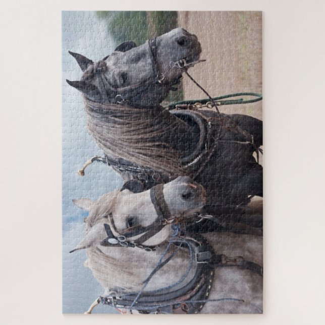  two percheron's  ploughing Puzzle (Vertical)