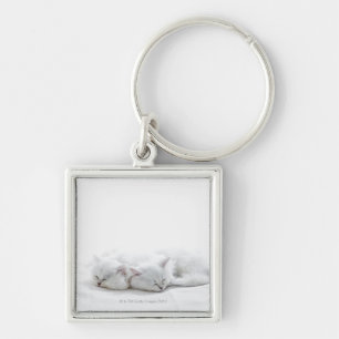 Two Persian Kittens Key Ring