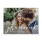 Two Photo | White Heart and Script Just Married