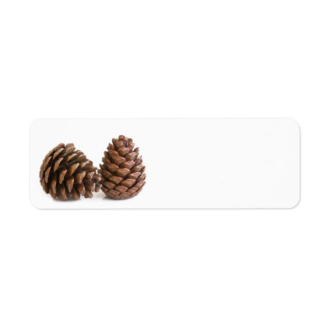 Two pinecones (Front)
