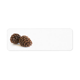 Two pinecones