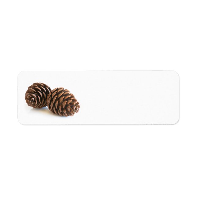 Two pinecones (Front)