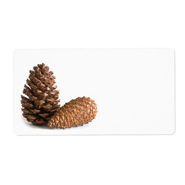 Two pinecones (Front)